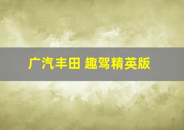 广汽丰田 趣驾精英版